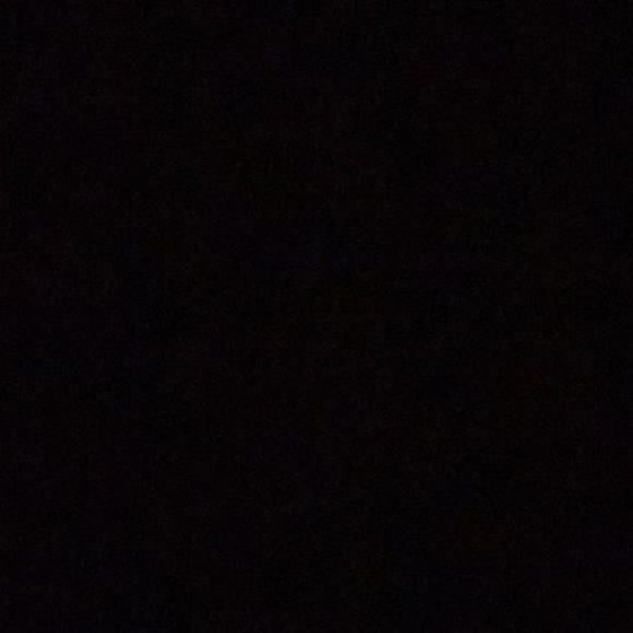 Meet your Posher, Benny - Picture 1 of 1